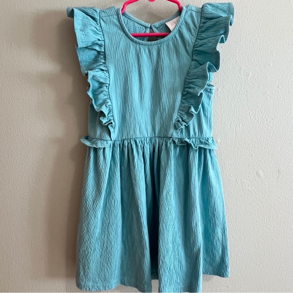 Zara Girls Dress with Ruffle Sleeves